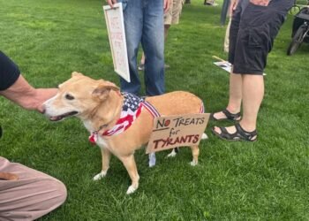 Americans in the Netherlands prepare for No Kings rally