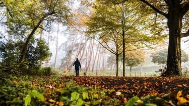 Voor het eerst in bijna een halfjaar nergens warmer dan 15 graden